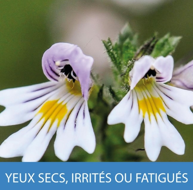 a-vogel-gouttes-yeux-irrites-flacon-10-ml-secheresse-fatigue-oculaire-produit-promo-description-prix-web-avis-pharmacie-en-ligne-luxembourg-pharmaglobe.lu