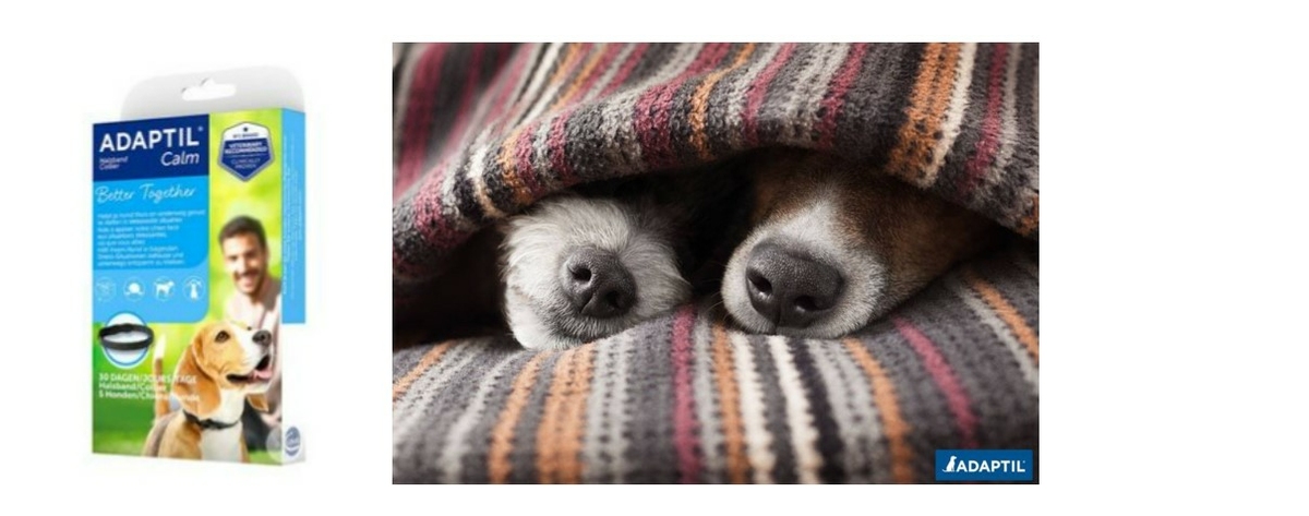 adaptil-calm-collier-small-petits-chiens-37_5-cm-detendre-les-chien-produit-description-pharmacie-en-ligne-luxembourg-pharmaglobe.lu