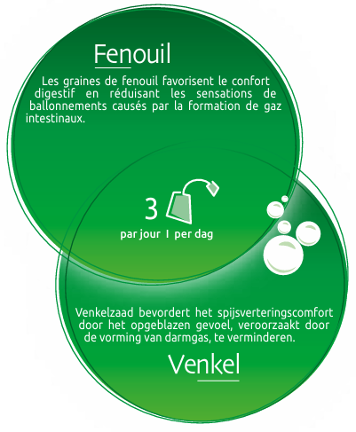 biolys-fenouil-bio-tisane-24-sachets-infusions-tilman-livraison-etiquette-pharmacie-en-ligne-meilleur-prix-luxembourg-kaufen-pharmaglobe