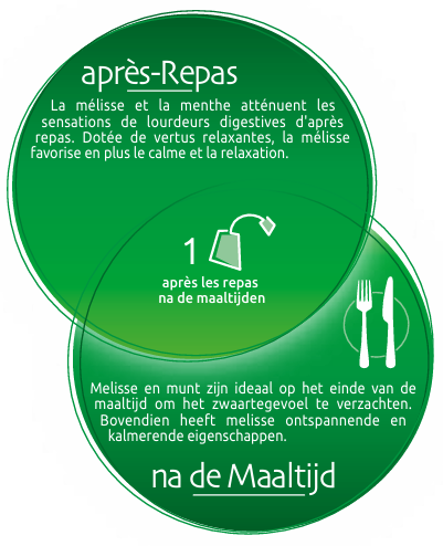 biolys-melisse-menthe-tisane-24-sachets-tilman-the-apres-repas-livraison-etiquette-pharmacie-en-ligne-meilleur-prix-luxembourg-kaufen-pharmaglobe