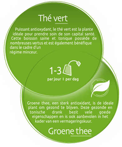 biolys-the-vert-bio-tisane-the-tilman-livraison-etiquette-pharmacie-en-ligne-meilleur-prix-luxembourg-kaufen-pharmaglobe