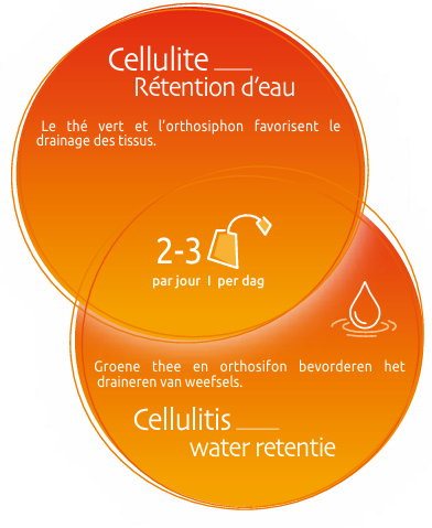 biolys-vert-orthosiphon-bio-24-sachets-tilman-the-cellulite-retention-eau-livraison-etiquette-pharmacie-en-ligne-meilleur-prix-luxembourg-kaufen-pharmaglobe