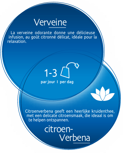 biolys-verveine-bio-24-sachets-tilman-the-livraison-etiquette-pharmacie-en-ligne-meilleur-prix-luxembourg-kaufen-pharmaglobe