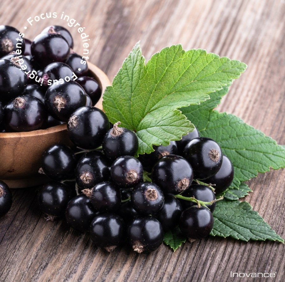 bourrache-cassis-boite-de-100-capsules-inovance-ysonut-omega-6-omega-3-peau-beaute-produit-pharmacie-en-ligne-luxembourg-pharmaglobe.lu