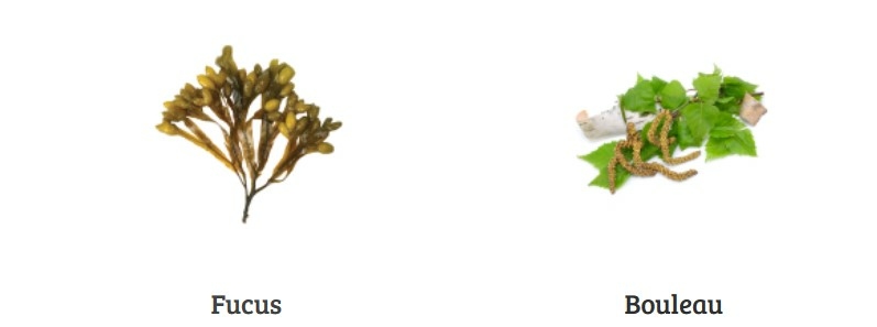 dr-ernst-n-10-tisane-amincissante-minceur-24-sachets-filtrettes-description-avis-pharmacie-en-ligne-luxembourg-pharmaglobe.lu