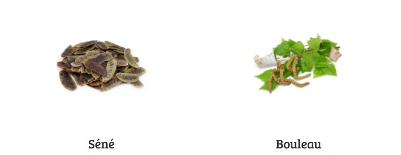 dr-ernst-n-2-tisane-depurative-transit-24-sachets-filtrettes-description-pharmacie-en-ligne-luxembourg-pharmaglobe.lu