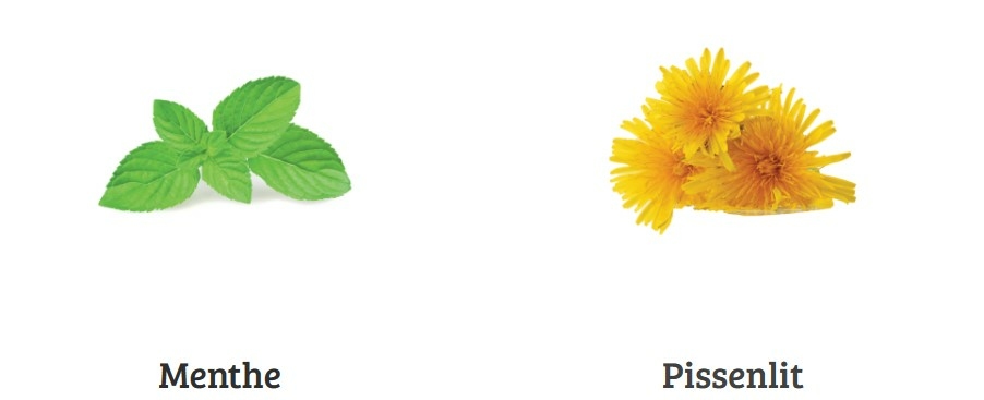 dr-ernst-n-7-24-sachets-infusions-tisane-digestive-biliaire-description-produit-pharmacie-en-ligne-luxembourg-pharmaglobe.lu