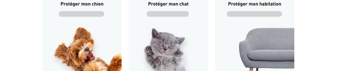 frontline-marque-produits-medicaments-veterinaires-sante-chiens-chats-puces-tiques-description-achat-pharmacie-en-ligne-luxembourg-pharmaglobe.lu