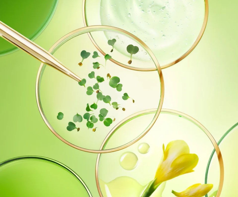 nuxe-nuxuriance-ultra-lait-corps-fermete-flacon-400ml-promotion-commande-achat-prix-bas-parapharmacie