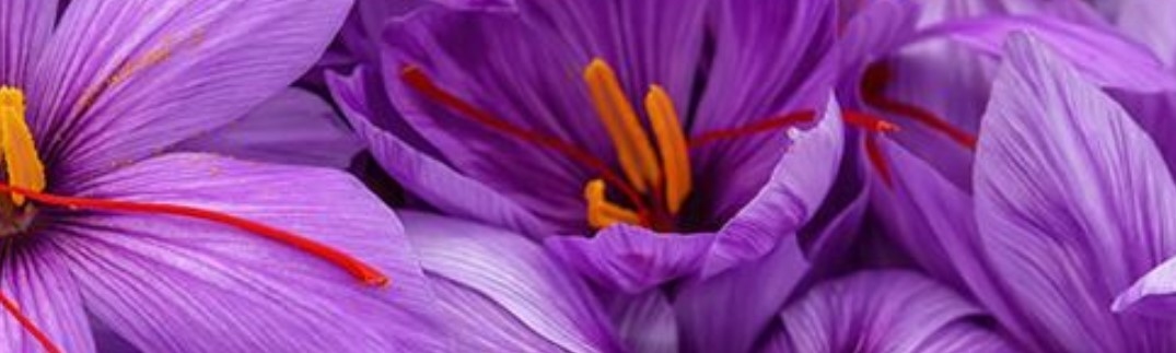 Soria-Natural-Saffrasor-prix-produit-avis-pharmacie-en-ligne-luxembourg-pharmaglobe.lu