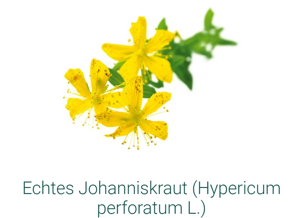 SIDROGA-JOHANNISKRAUT-SACHETS