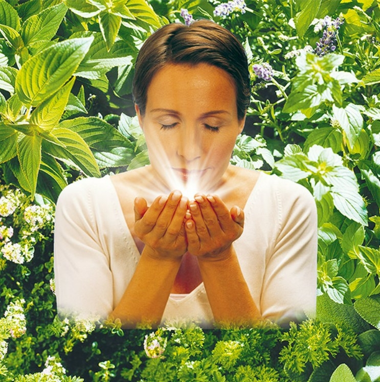 soli-chlorophyll-ol-s-21-flacon-de-50-ml-soliform-huile-de-soli-chlorophylle-s-21-description-pharmacie-en-ligne-luxembourg-pharmaglobe.lu