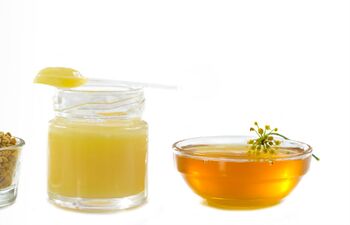 Propolis, miel, gelée royale, tout ce qu'il faut savoir