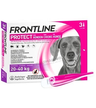 FRONTLINE-PROTECT-SPOT-ON-CHIEN-L-3-PIPETTES-anti-puces-anti-tiques-chien-20-40-Kg-pharmaglobe.lu