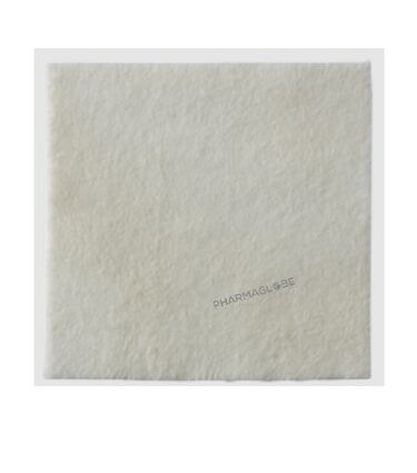 biatain-alginate-10-x-10cm-boite-10-unites-pansement-coloplast-pharmaglobe.lu