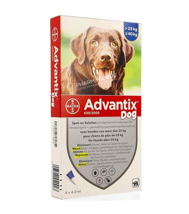 ADVANTIX-400/2000-CHIEN-de-plus-de-25-KG-4-fois-4-ML-eliminer-puces-tiques-poux-pharmaglobe.lu