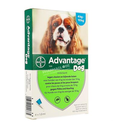 ADVANTAGE-100-CHIEN-4-10-KG-4-pipettes-de-1-ML-pharmaglobe.lu