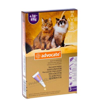 Advocate-Spot-on-Grand-Chat-4-8-kg-Pipettes-3-de-0,8ml-Solution-pour-Spot-on-antiparasitaire-chat-pharmaglobe.lu