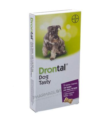 DRONTAL-DOG-TASTY-6-COMPRIMES-VETERINAIRE-antiparasitaire-chien-pharmaglobe.lu