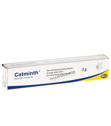 catminth-pate-orale-chats-tube-3g-medicament-veterinaire-pharmaglobe.lu