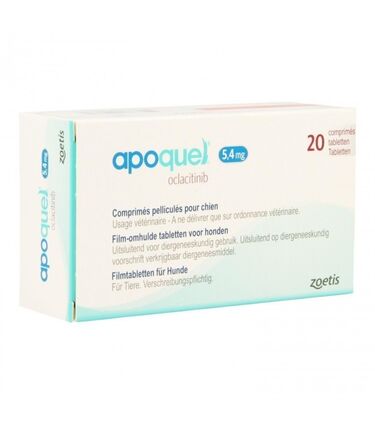 apoquel 10 mg