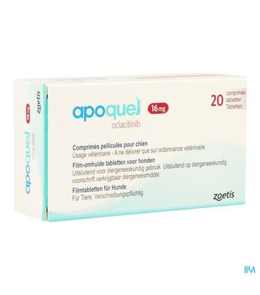 diy temporary dog fence