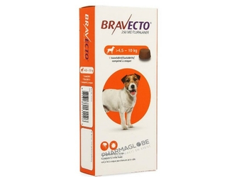 bravecto-250mg-boite-1-comprime-a-croquer-pour-chiens-petite-taille-4.5-10-kg-medicament-veterinaire-pharmacie-pharmaglobe.lu