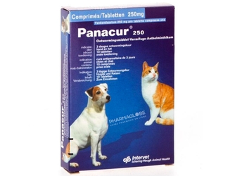 PANACUR-250-MG-10-COMPRIMES-pharmaglobe.lu