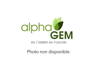 alphagem-cedre-du-liban-bio-50ml-macerat-bourgeon-pharmaglobe