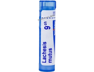 lachesis-mutus-9ch-globules-homeopathie-rocal-groupe-lehning-medicament-homeopathique-pharmaglobe.lu
