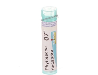 phytolacca-decandra-7ch-granules-homeopathie-rocal-groupe-lehning-medicament-homeopathique-pharmaglobe.lu