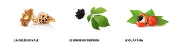 3-chenes-3c-gamme-phyto-aromicell-r-tonus-energie-ampoules-a-boire-ingredients-energie-physique-mentale-pharmacie-en-ligne-luxembourg-pharmaglobe.lu