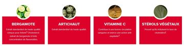 arterin-cholesterol-90-comprimes-gestion-du-cholesterol-produit-promo-description-prix-web-avis-pharmacie-en-ligne-luxembourg-pharmaglobe.lu